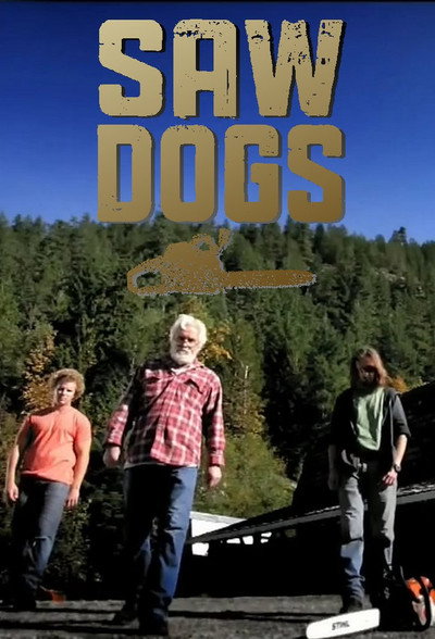 Póster de Saw Dogs