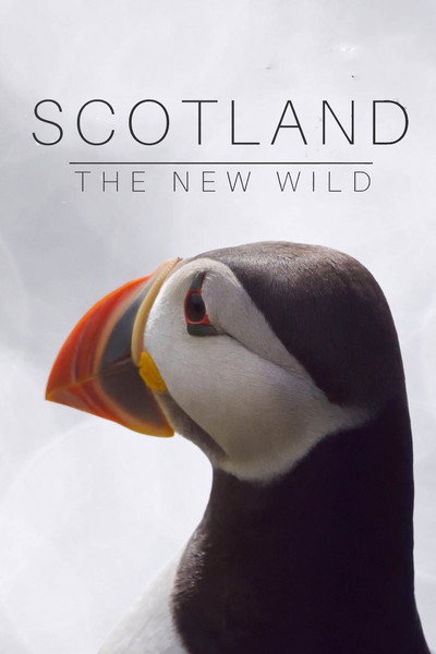 Póster de Scotland: The New Wild