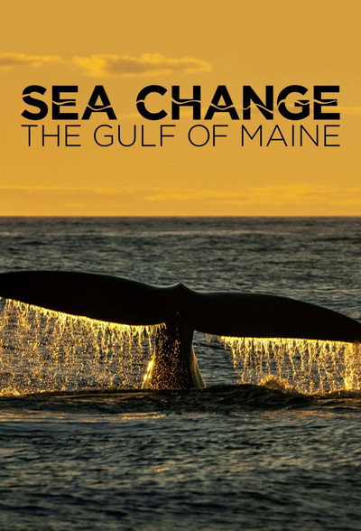 Póster de SEA CHANGE, a special presentation of NOVA