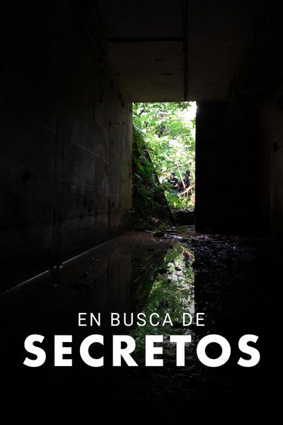 Póster de Searching for Secrets