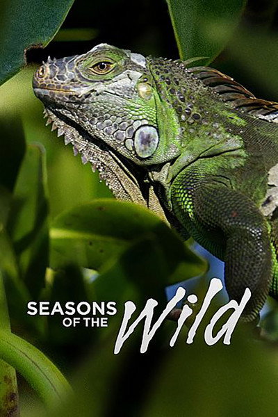 Póster de Seasons of the Wild