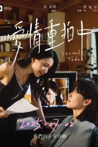 Póster de Second Take