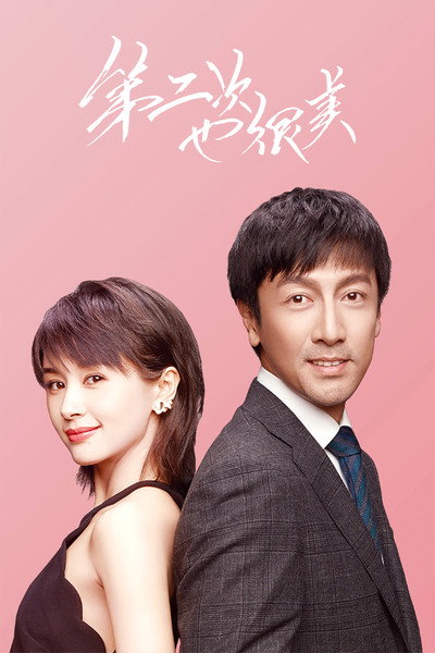 Póster de Second Time Is a Charm