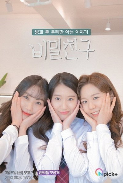 Póster de Secret Friend