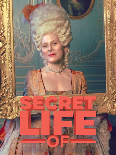 Póster de Secret Life of...