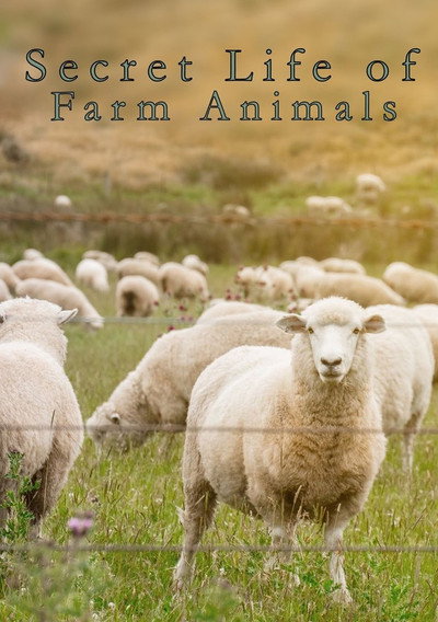 Póster de Secret Life of Farm Animals