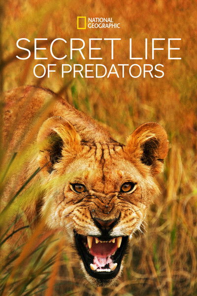 Póster de Secret Life of Predators