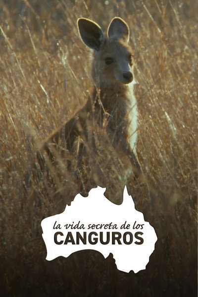 Póster de Secret Life of the Kangaroo