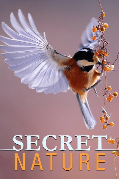 Póster de Secret Nature
