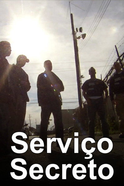 Póster de Secret Service Files