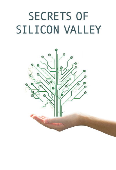 Póster de Secretos de Silicon Valley