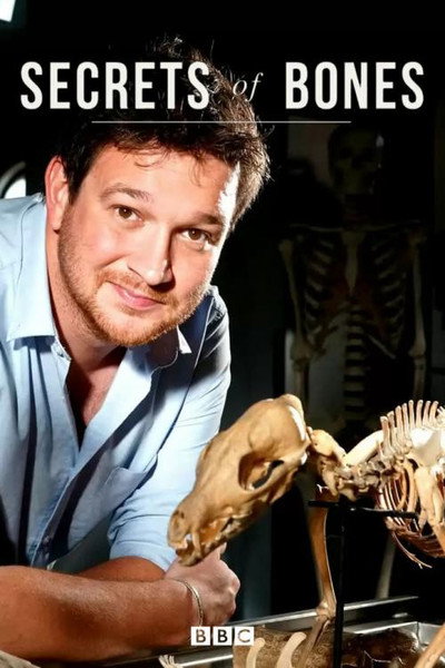 Póster de Secrets of Bones
