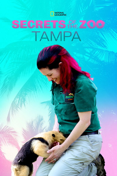 Póster de Secrets of the Zoo: Tampa