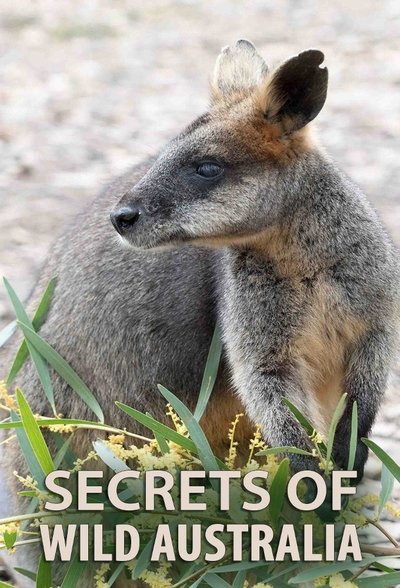 Póster de Secrets of Wild Australia