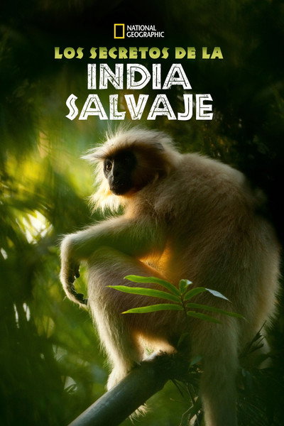 Póster de Secrets of Wild India