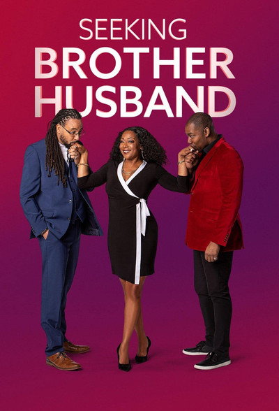 Póster de Seeking Brother Husband