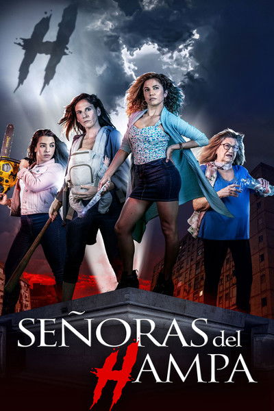 Póster de Señoras del (h)AMPA