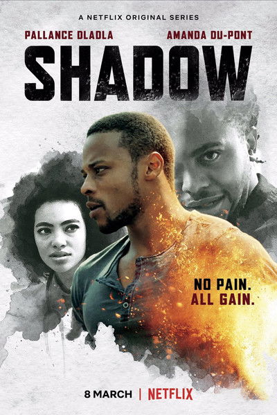 Póster de Shadow