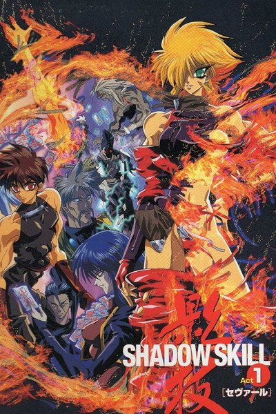 Póster de Shadow Skill
