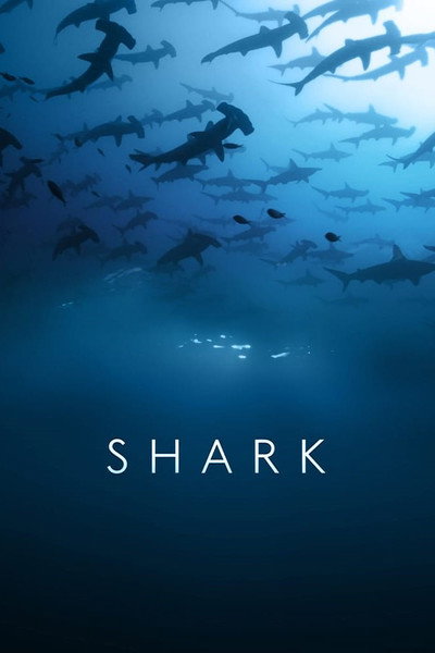Póster de Shark