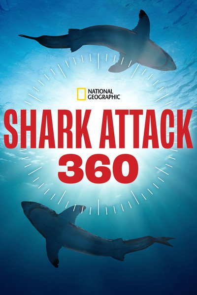 Póster de Shark Attack 360