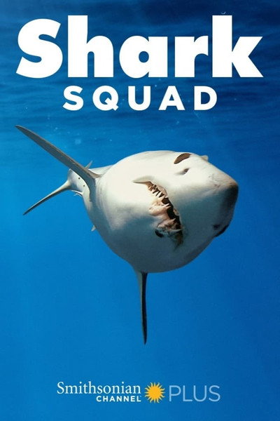 Póster de Shark Squad