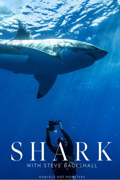 Póster de Shark with Steve Backshall
