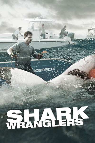 Póster de Shark Wranglers