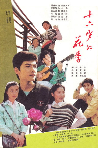 Póster de Shi liu sui de hua ji