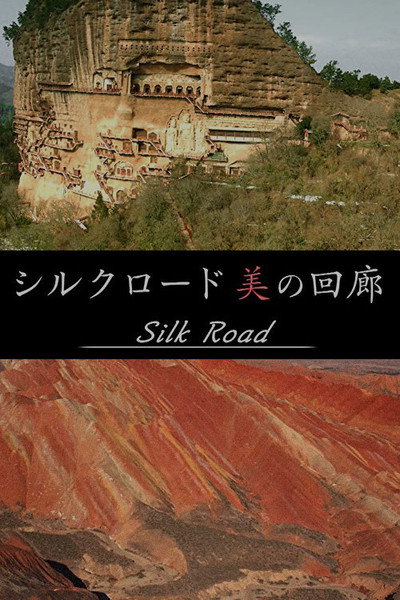 Póster de Shiruku rôdo Bi no kairo
