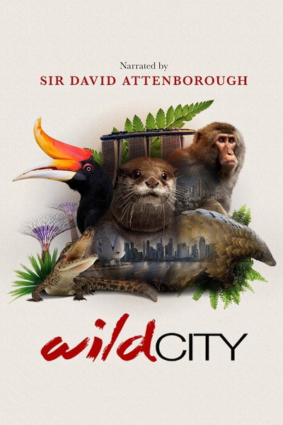 Póster de Singapore Wild City
