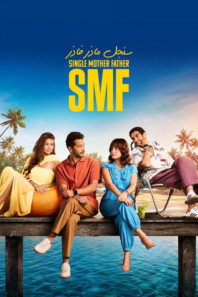 Póster de Single Mother Father
