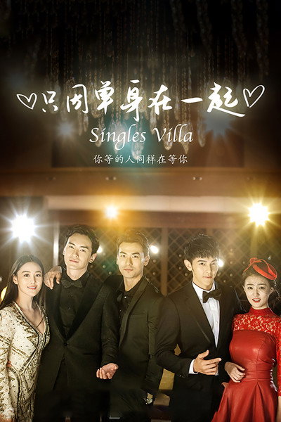 Póster de Singles Villa