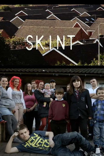 Póster de Skint