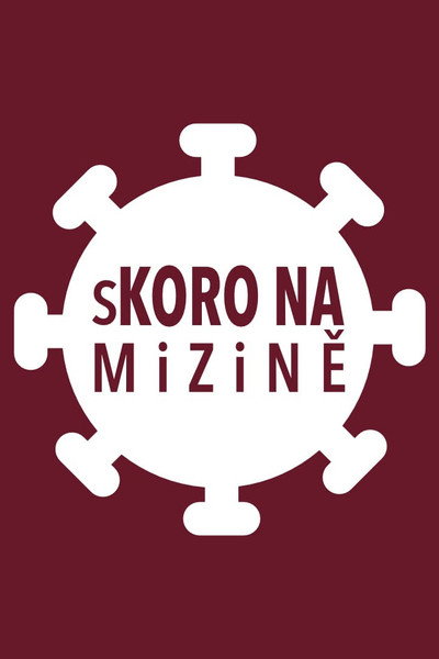 Póster de Skoro Na Mizine