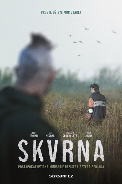 Póster de Skvrna