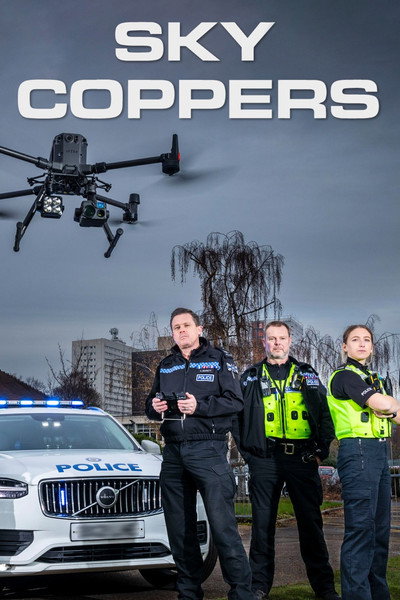 Póster de Sky Coppers