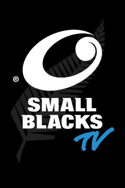 Póster de Small Blacks TV