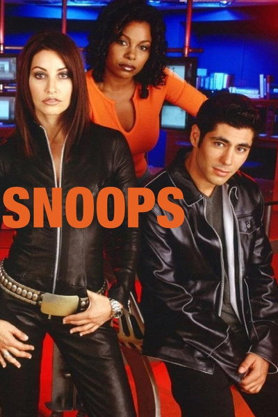 Póster de Snoops
