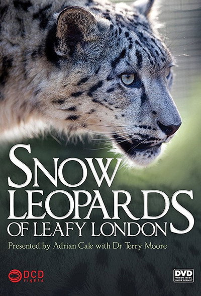 Póster de Snow Leopards of Leafy London