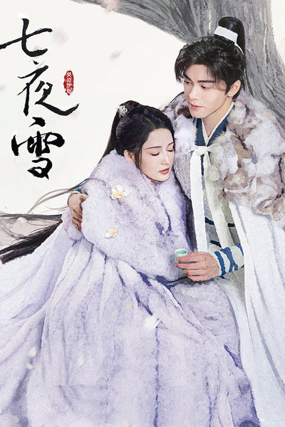 Póster de Snowy Night Timeless Love