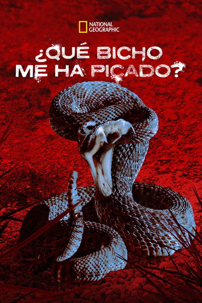 Póster de Something Bit Me