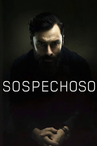 Póster de Sospechoso
