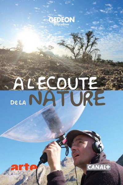 Póster de Sounds of Nature