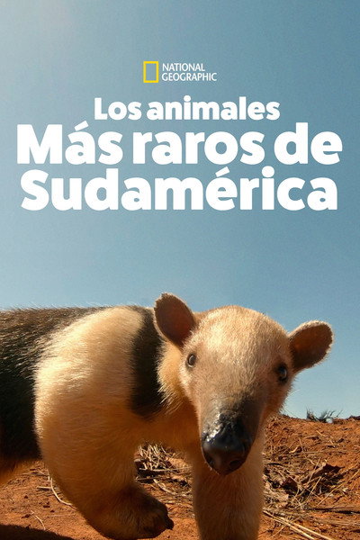 Póster de South America's Weirdest Animals
