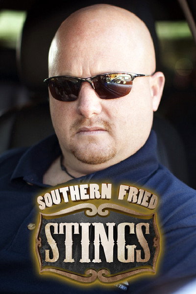Póster de Southern Fried Stings