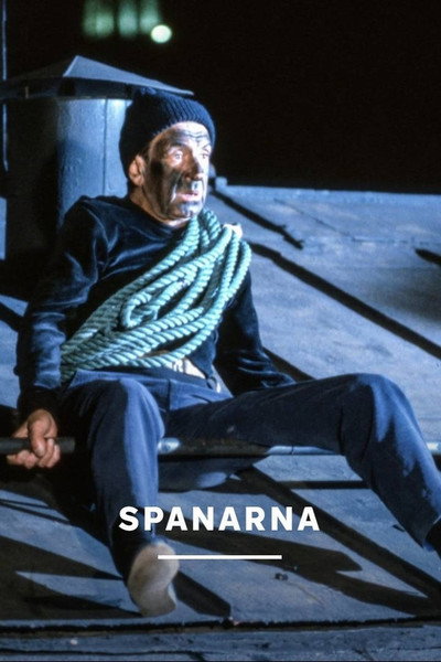 Póster de Spanarna