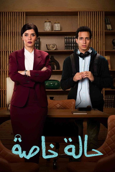 Póster de Special Case