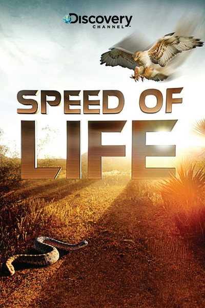 Póster de Speed of Life