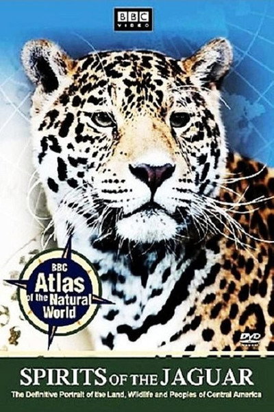 Póster de Spirits of the Jaguar
